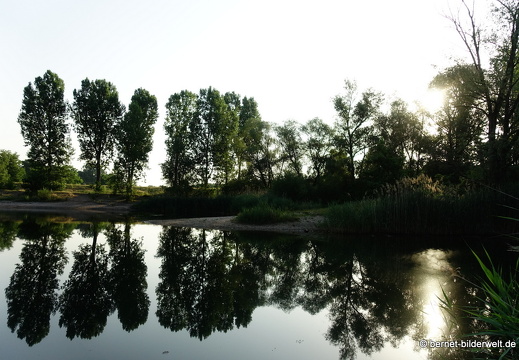 19-06-27-hagsfeld-jaegerhaussee-060