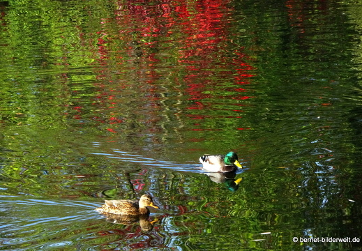 19-10-13-jaegerhaussee-080