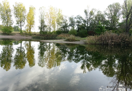 19-10-13-jaegerhaussee-123