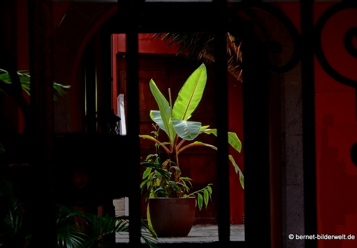 19-02-04-las palmas-altstadt-081