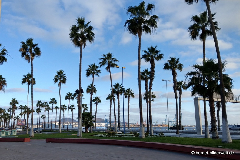 19-02-09-las palmas-014.JPG