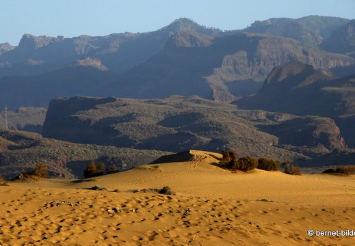 19-02-14-maspalomas-054