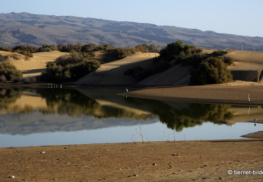 19-02-14-maspalomas-la charca-see-044