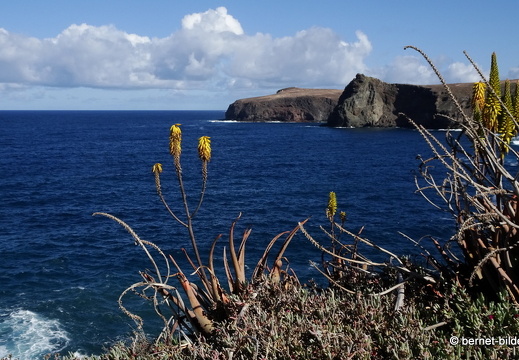 19-02-16-agaete-strand-035