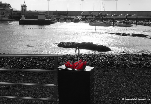 19-02-18-agaete-puert de las nieves-006