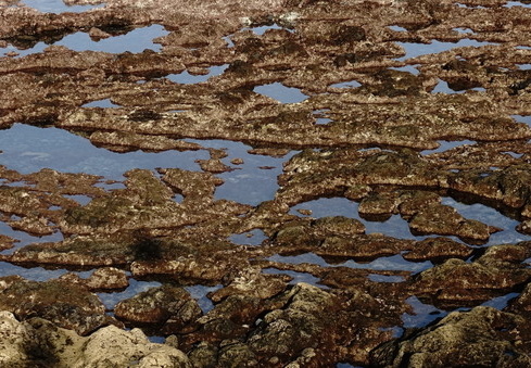 19-02-22-agaete-las salinas-120