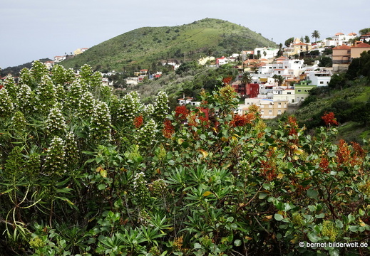 19-02-02-tafira alta-102