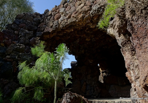 19-02-05-jardin canario-195