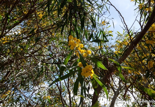 19-02-08-tafira alta-002