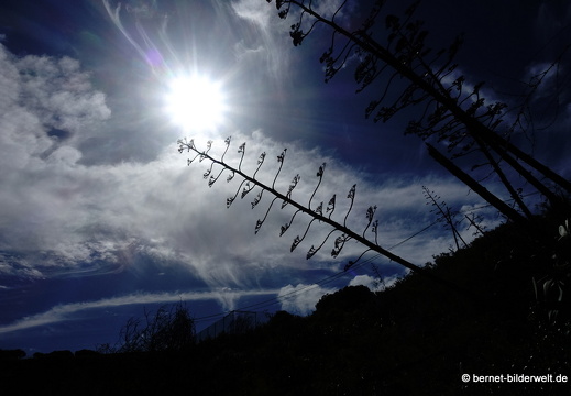 19-02-11-bandama-014