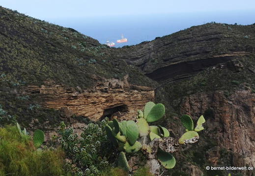 19-02-11-bandama-038