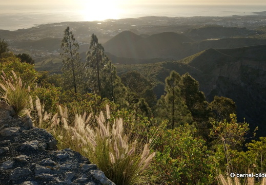 19-02-12-pico de bandama-008