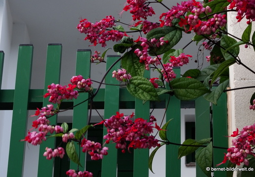 19-02-26-el sao-san pedro in valle-