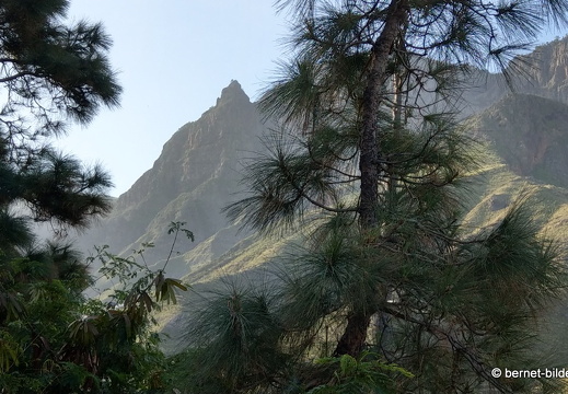 19-02-26-el sao-san pedro in valle-003