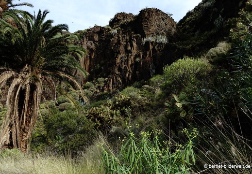 19-02-26-el sao-san pedro in valle-005