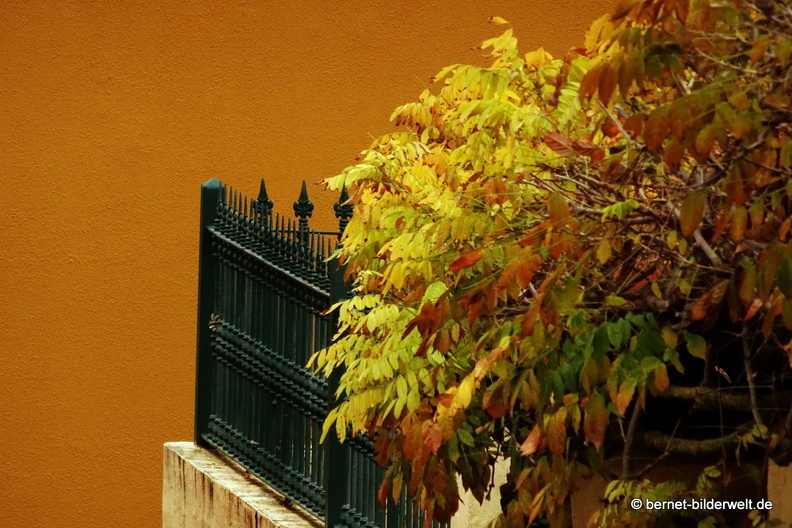 19-02-03-san mateo-070.JPG