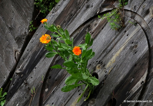 19-02-03-san mateo-215