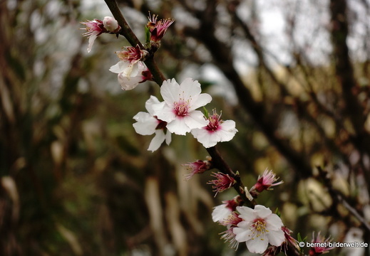 19-02-03-san mateo-231