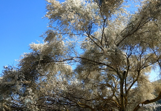 19-02-08-busfahrt-san mateo-001