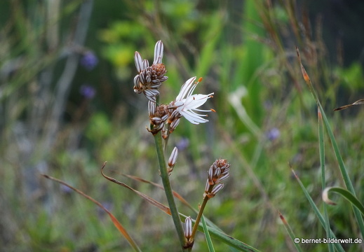 19-02-23-los berrazales-el valle-023