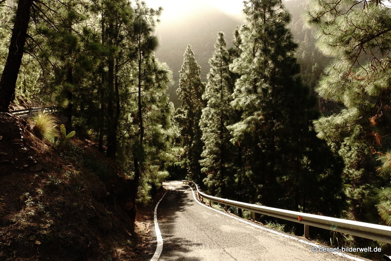 19-02-23-los berrazales-el valle-027.JPG