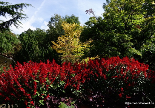 19-09-27-konstanz-mainau-280