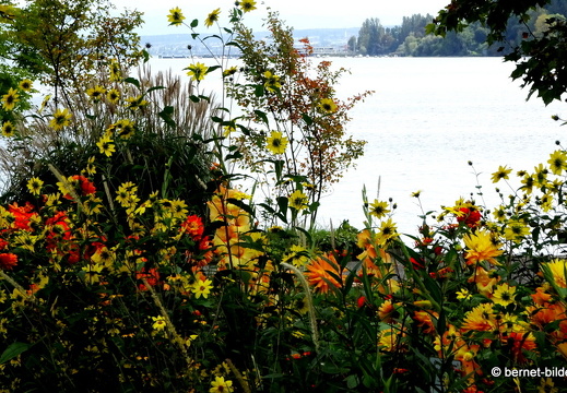 19-09-27-konstanz-mainau-288