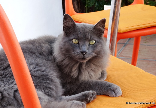 19-11-06-calle taburiente-wohnung-