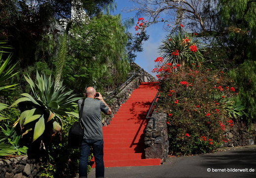 19-11-07-calle taburiente-la palma jardin-004