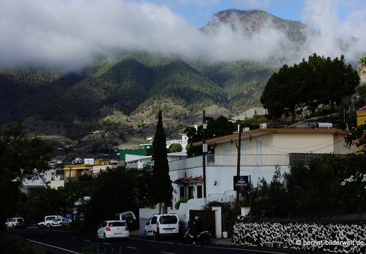 19-11-07-dos pinos-016