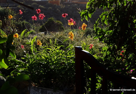19-11-08-calle taburiente-tasca catalina-009