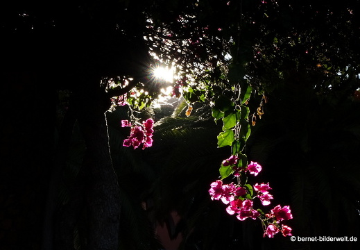 19-11-23-el paso-004