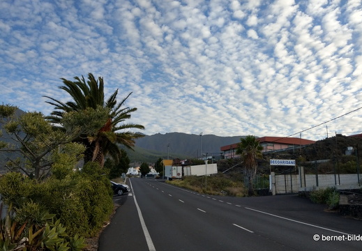 19-11-30-el paso-bushaltestelle-003