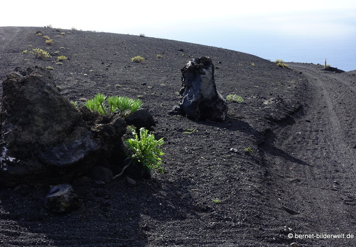 19-11-21-fuentcaliente-013