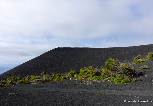 19-11-21-fuentcaliente-014