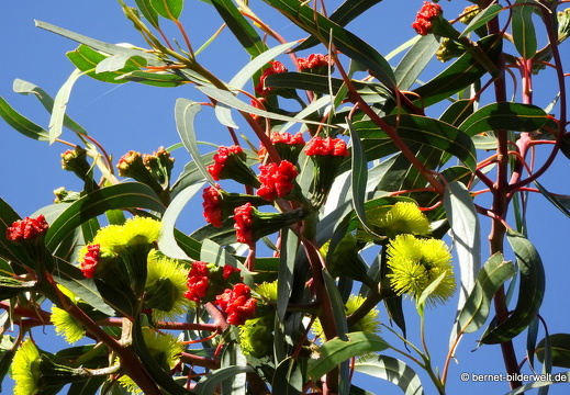 19-11-29-las manchas-092