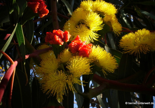 19-11-29-las manchas-184