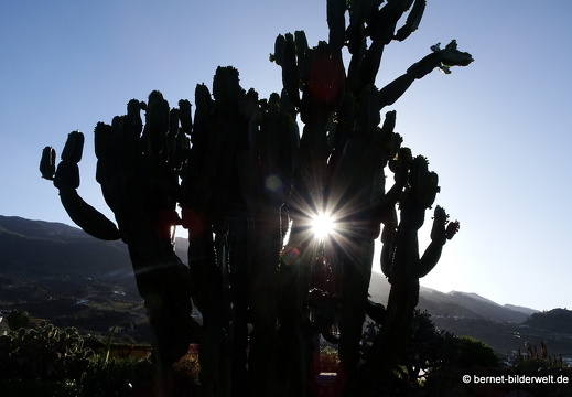 19-11-29-las manchas-plaza de la glorieta-007
