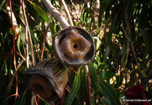 19-11-29-las manchas-188