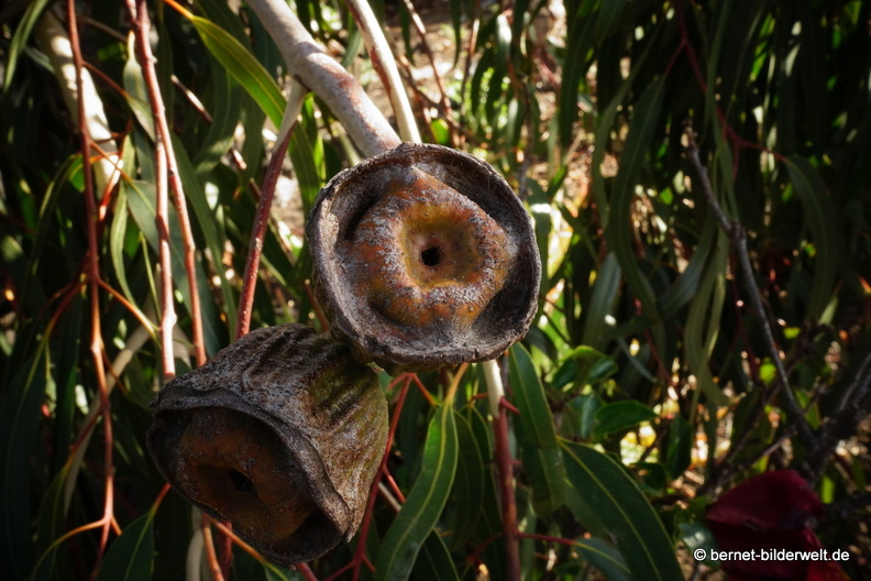 19-11-29-las manchas-188.jpg