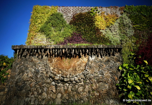 19-11-29-las manchas-plaza de la glorieta-050