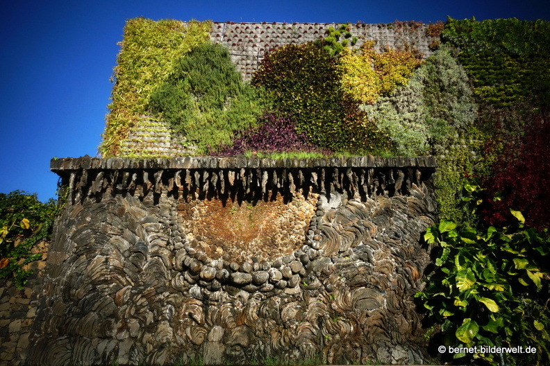 19-11-29-las manchas-plaza de la glorieta-050.jpg