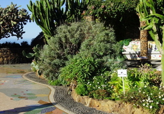 19-11-29-las manchas-plaza de la glorieta-074