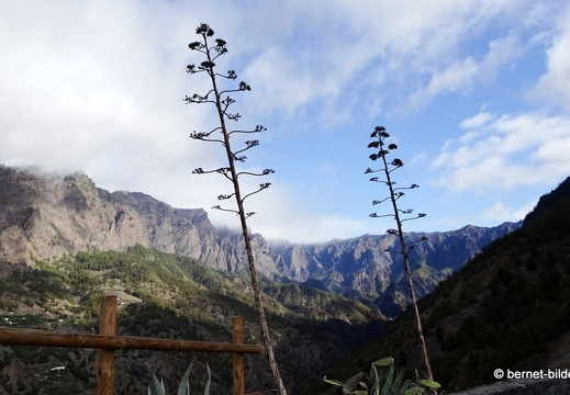 19-11-20-los llanos-mirador de cancelita-040