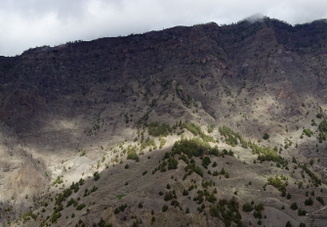 19-11-20-los llanos-mirador de cancelita-041