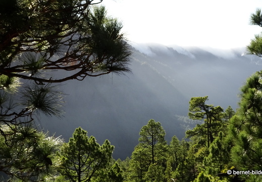 19-11-26-np-caldera de la taburiente-041