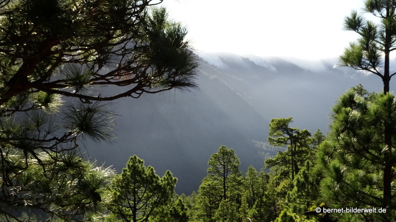 19-11-26-np-caldera de la taburiente-041.jpg