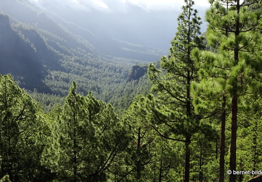 19-11-26-np-caldera de la taburiente-088