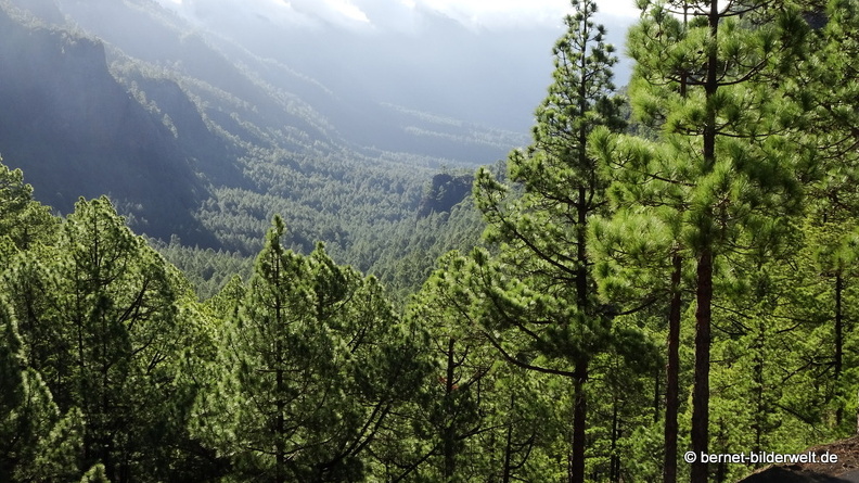 19-11-26-np-caldera de la taburiente-088.jpg