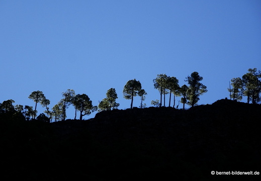 19-11-26-np-caldera de la taburiente-202